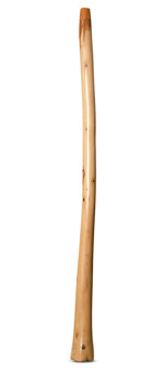 Wix Stix Didgeridoo (WS155)